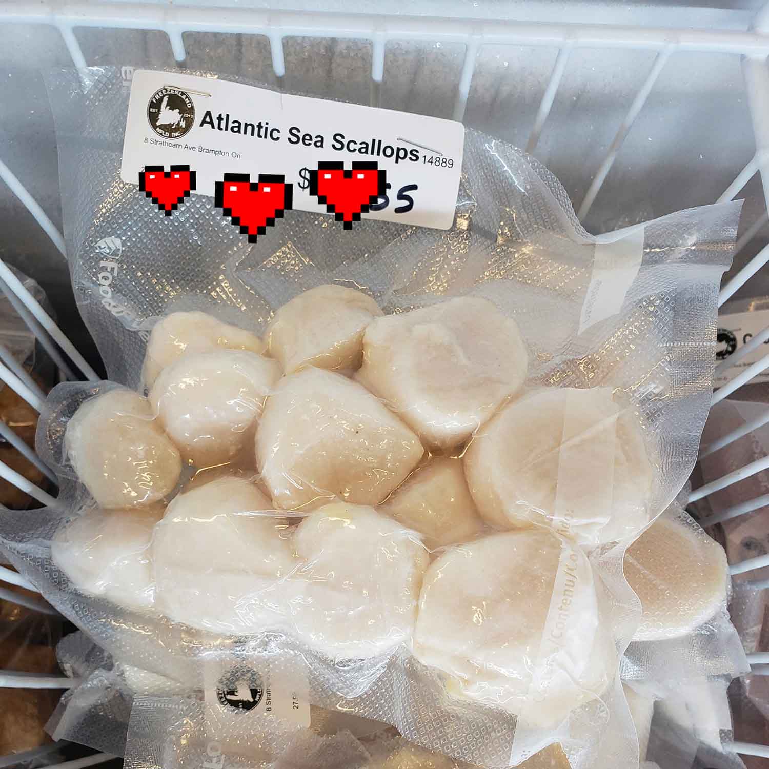 Atlantic Sea Scallops Freezerland NFLD INC.